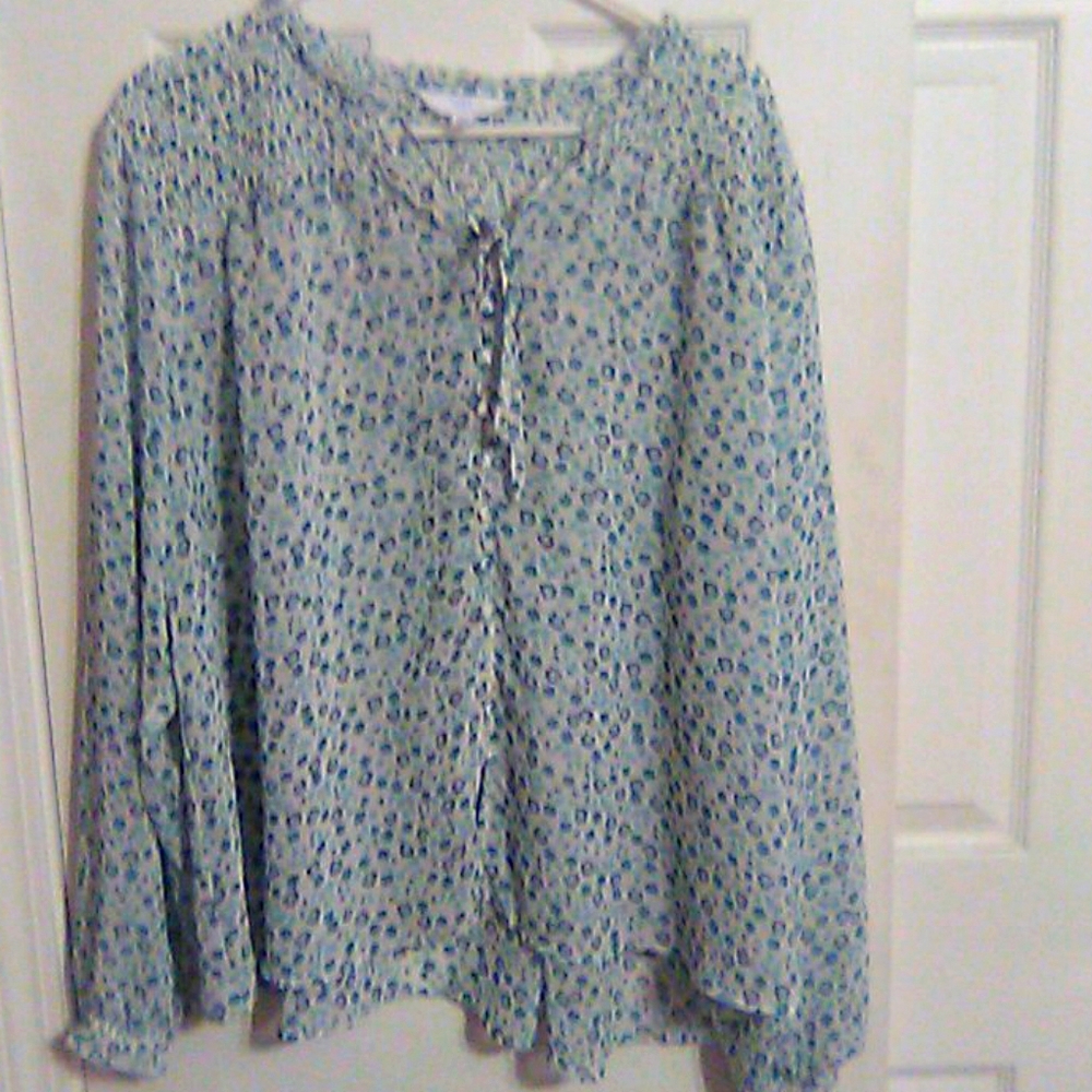 Sheer Blue Floral Blouse